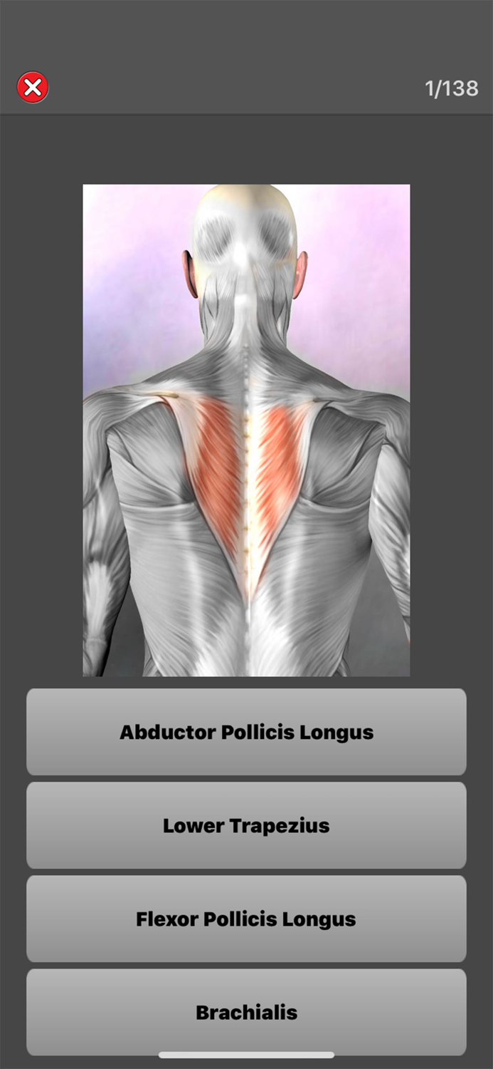 Anatomy Quiz Pro