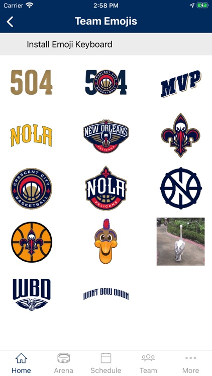 New Orleans Pelicans screenshot-1