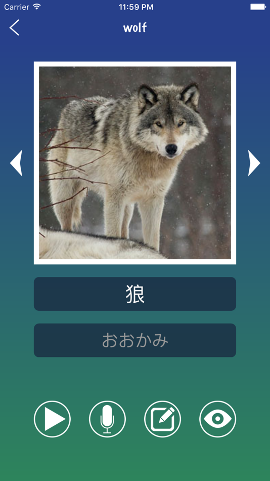 #3. Japanese Word Flashcards Learn (iOS) 由: 佩佩 伍