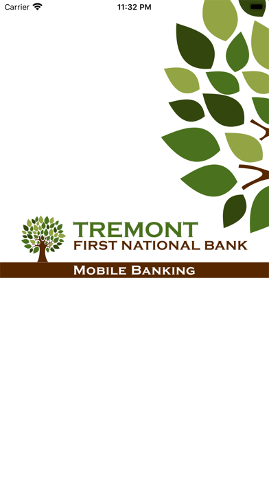 First National Bank in Tremont Screenshot