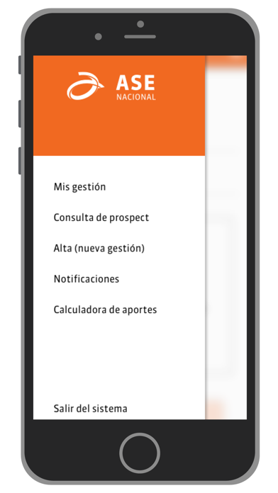 ASE Ventas Screenshot