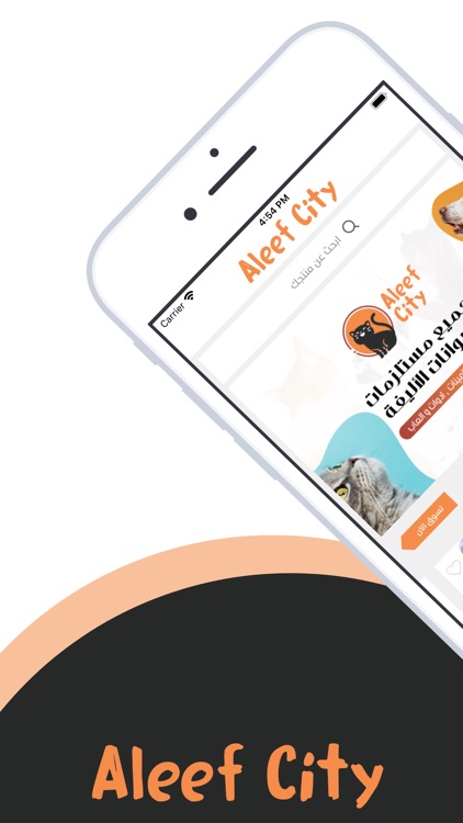 مدينة أليف  |  Aleef City