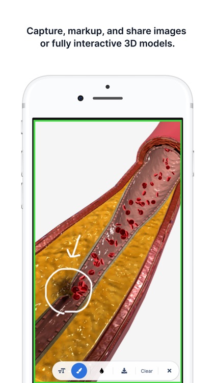 BioDigital Human - 3D Anatomy screenshot-4