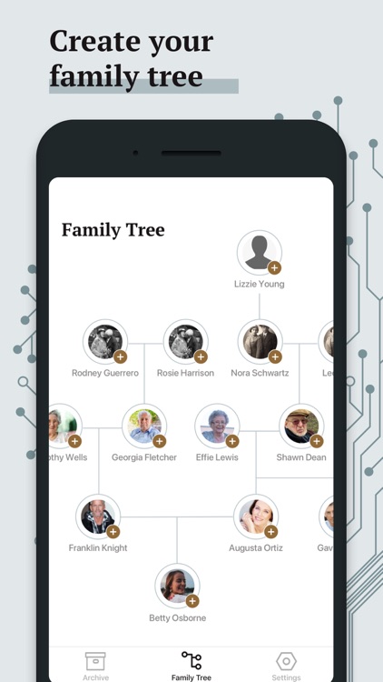 Family Tree History: Genealogy