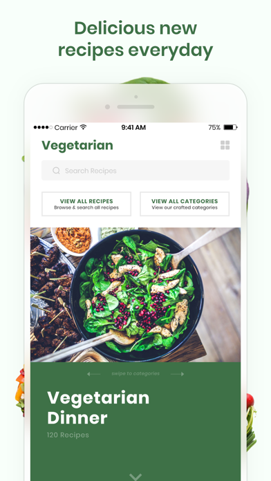 Vegetarian Recipes & Meals Screenshot