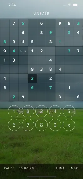 Game screenshot Zendoku hack