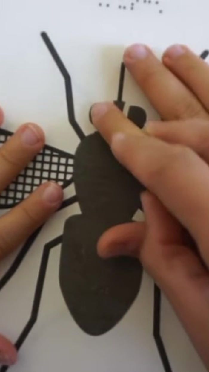 Tactile Images READER