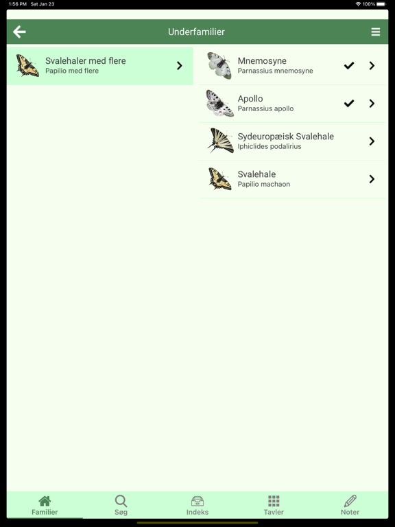 Screenshot #5 pour Nordeuropas dagsommerfugle