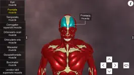 Game screenshot Learn Muscular System hack