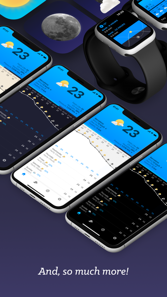 #6. Snowflake Weather (iOS) 由: Bjango Pty Ltd