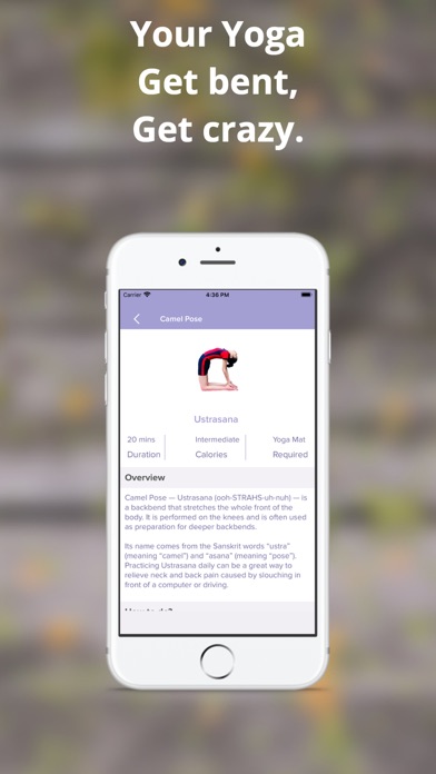 Your Yoga Champ Screenshot