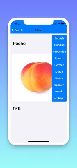 Game screenshot Tigrigna French hack