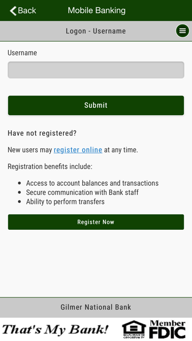 GNB Mobile Banking Screenshot