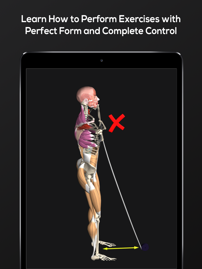 WORKOUTS by Muscle and Motion