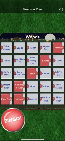 Game screenshot Scavenger Bingo hack