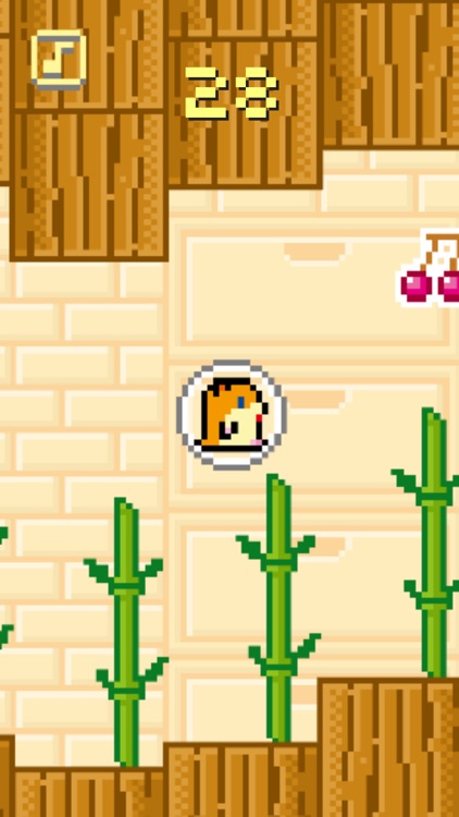 Float Up ! Bubble Hamster screenshot-4