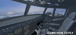 NG Flight Simulator screenshot #4 for iPhone