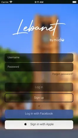 Game screenshot Lebanet by niido apk