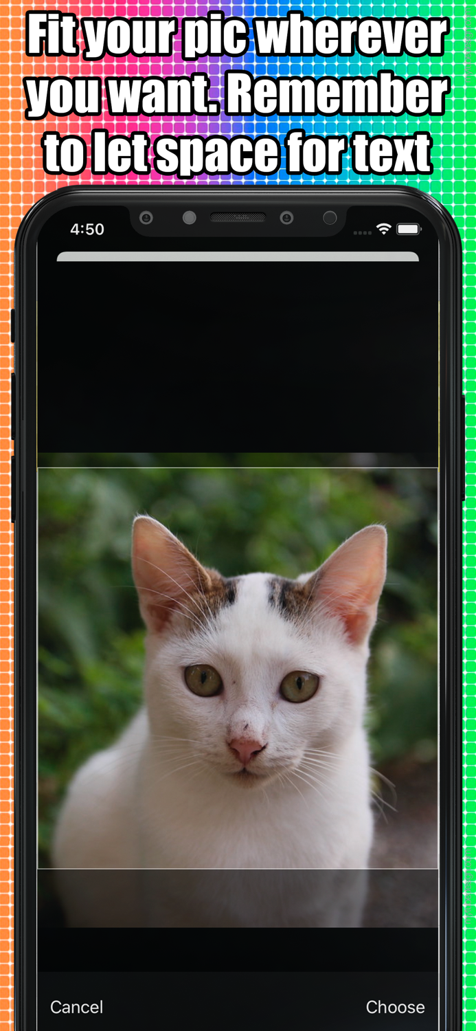 Meme Generator Add text to pic