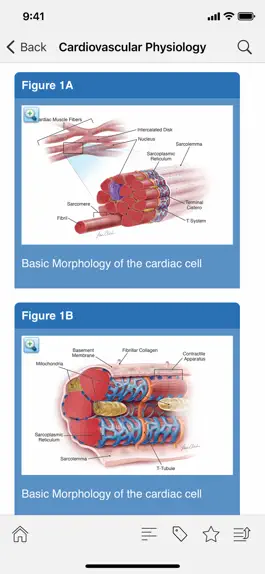 Game screenshot STS Cardiothoracic Surgery apk