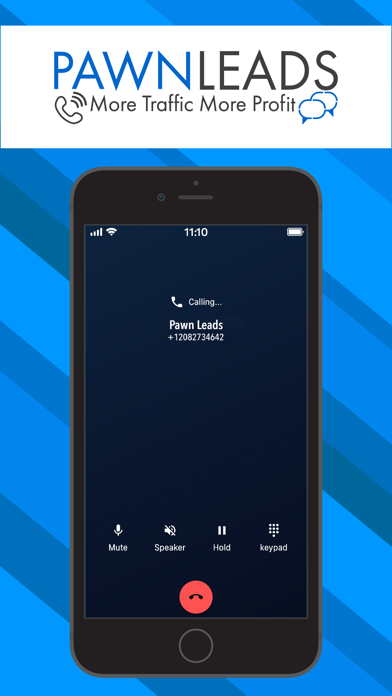 Pawn Leads Screenshot