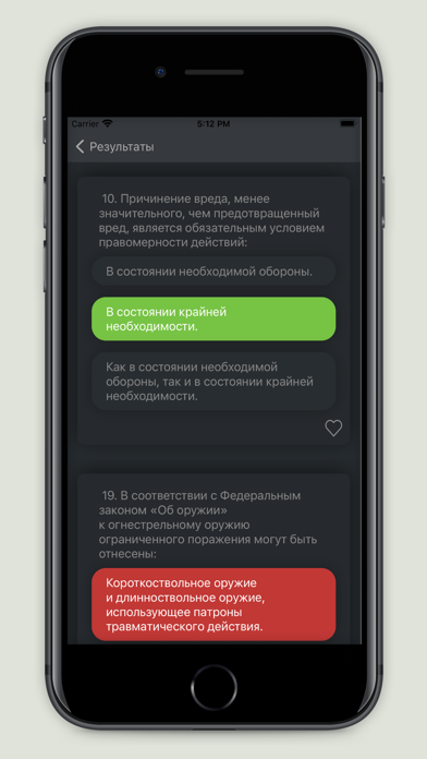 Экзамен на оружие - 2020 год Screenshot