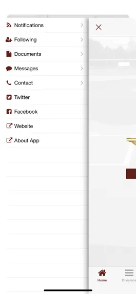 Game screenshot Top Flight Tournaments apk