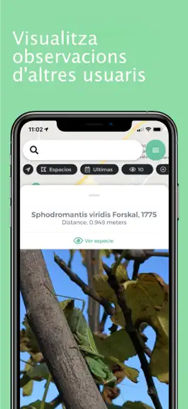 Game screenshot Biodibal apk
