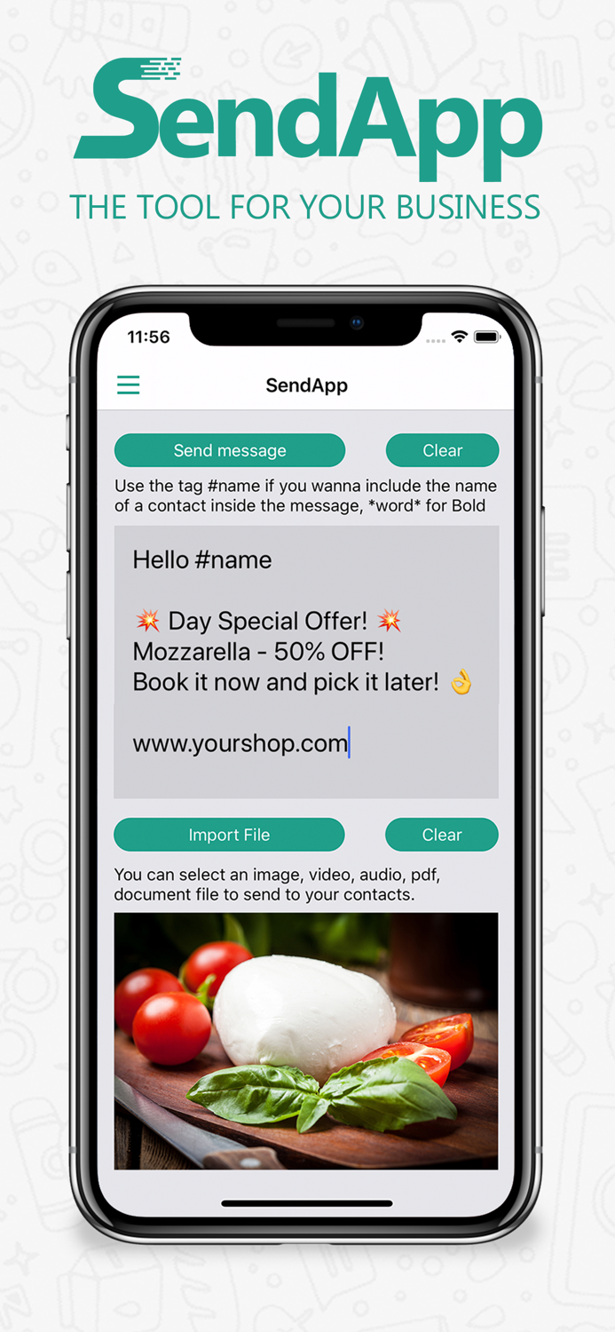 SendApp Professional