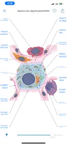 Atlas of Human Histology screenshot #5 for iPhone