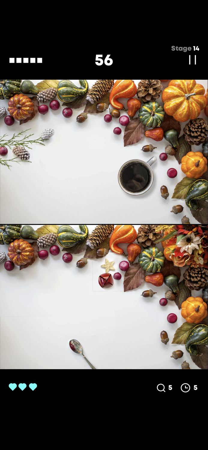 Seek the Differences