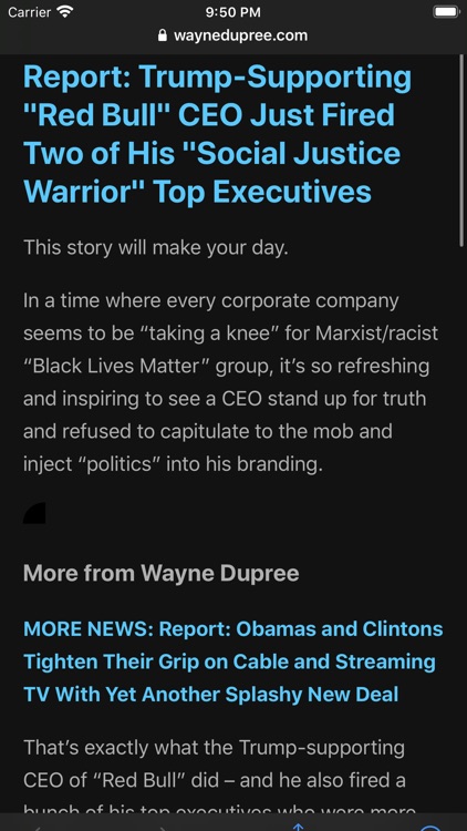 Conservative News screenshot-5