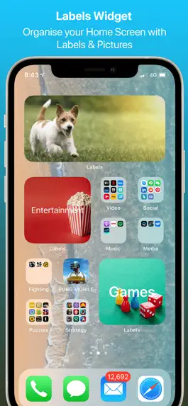 Game screenshot Labels Widget mod apk