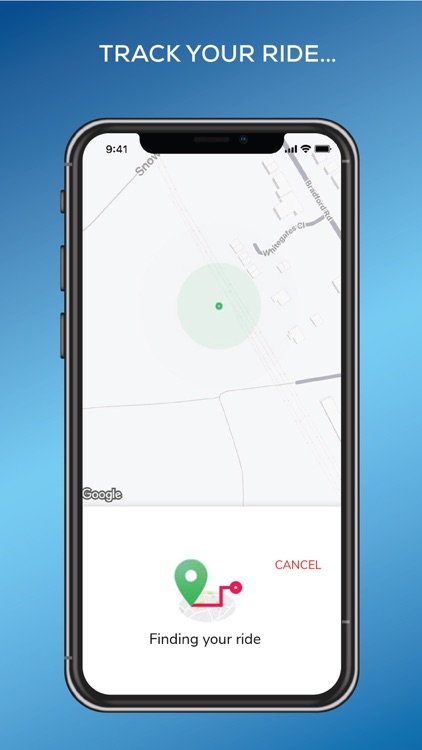 Marquis Taxis screenshot-3