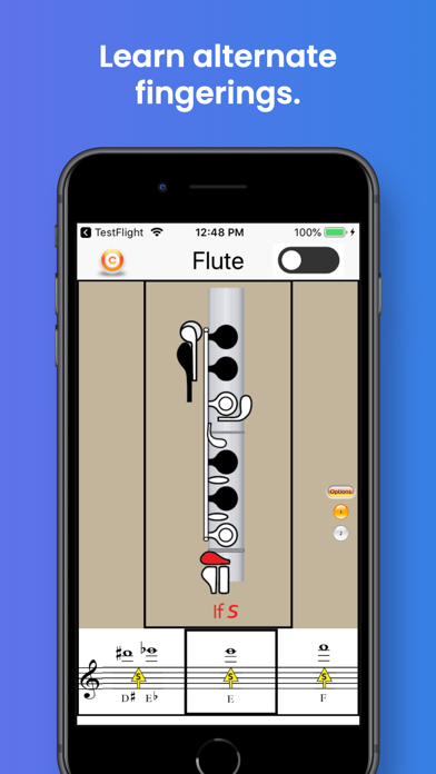 Flute Fingering & Tuning Screenshot