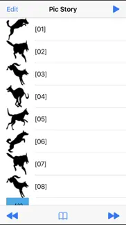 pic story problems & solutions and troubleshooting guide - 1