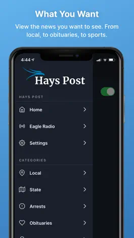 Game screenshot Hays Post by Eagle hack