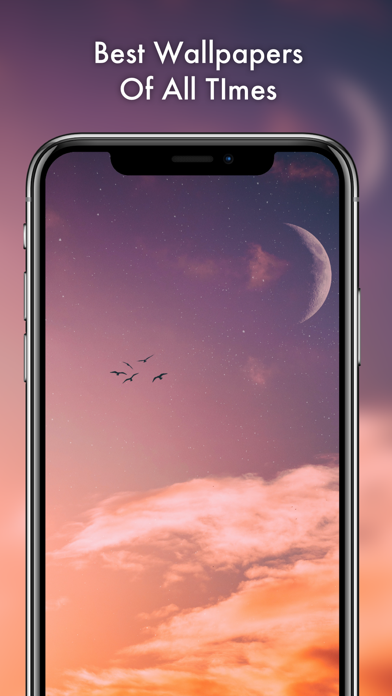 Live Wallpaper Max Screenshot