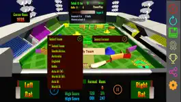 Game screenshot PinBall Cricket apk