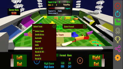 PinBall Cricket Screenshot
