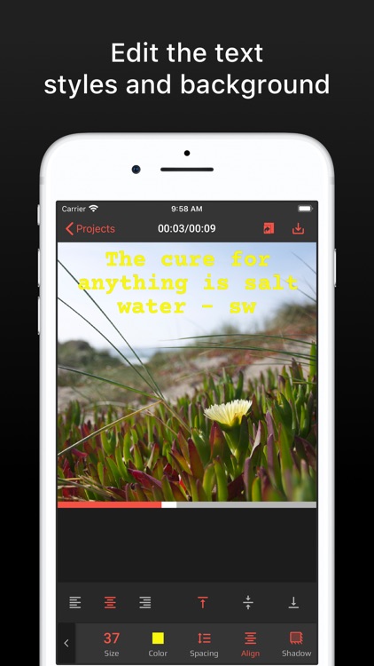 Typewriter: Typing Video Maker