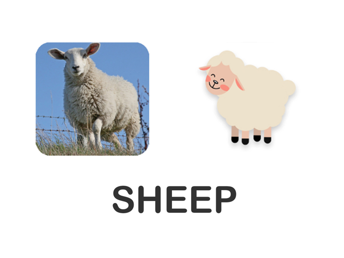 Educational Matching Game