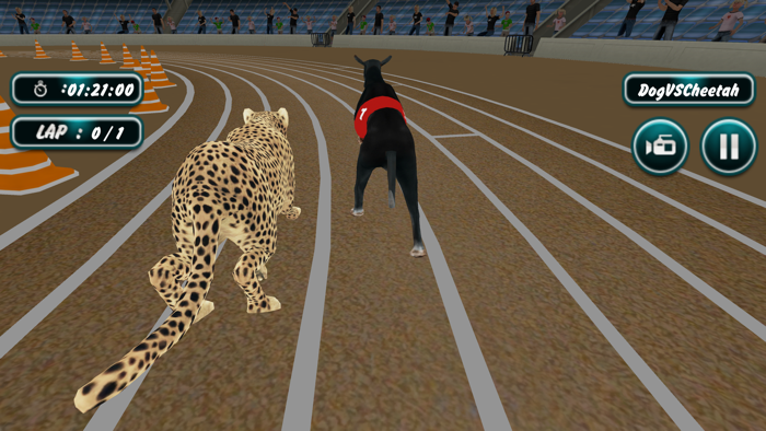 Dog Racing