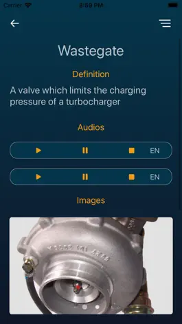 Game screenshot VoDAR mod apk