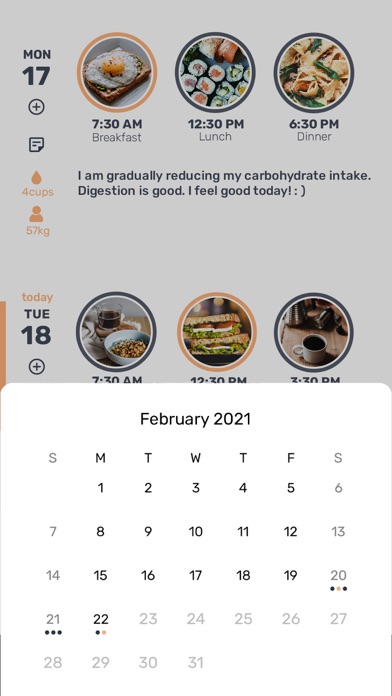 Otter - Diet Diary Screenshot