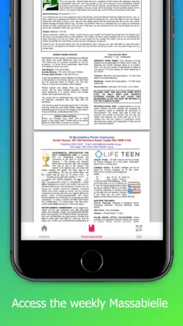 Game screenshot St Bernadettes apk