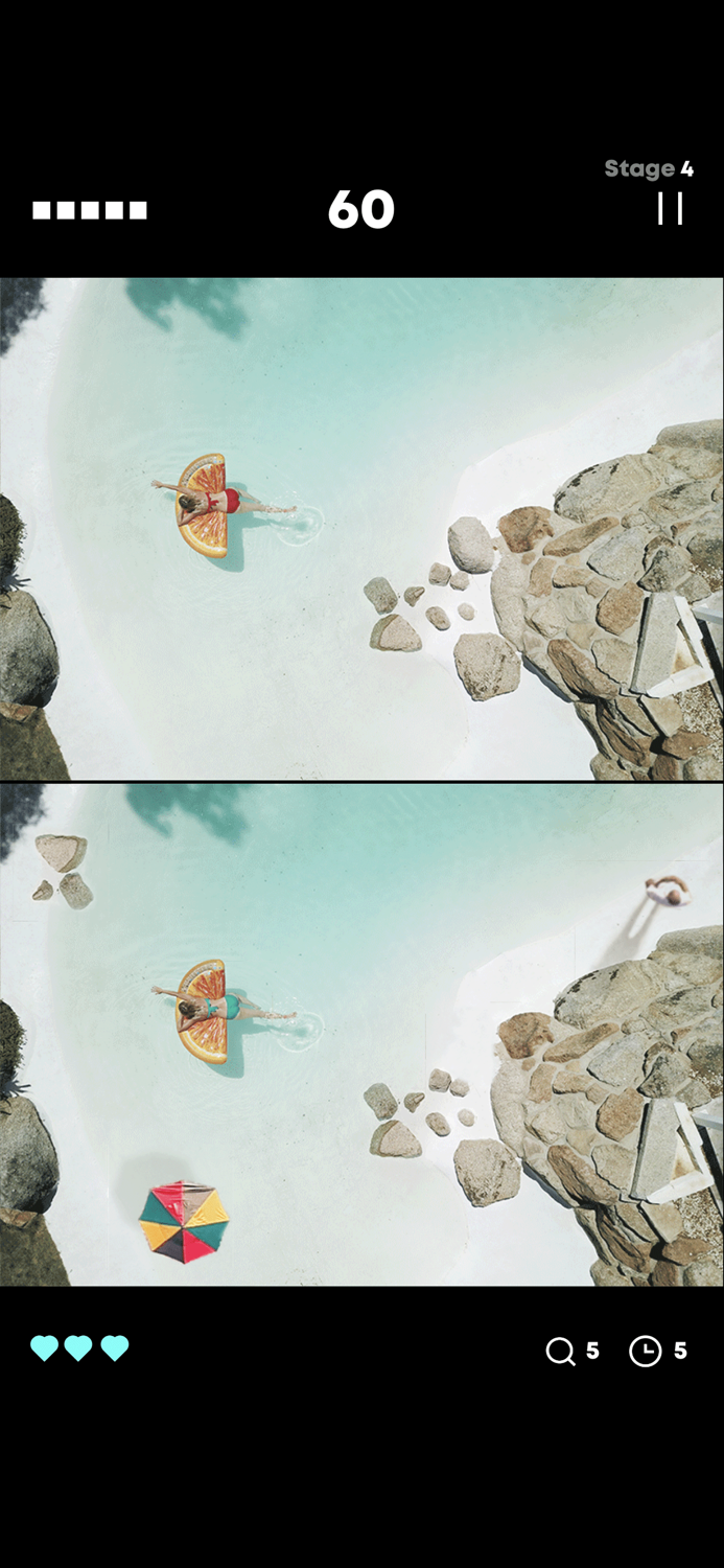 Seek the Differences