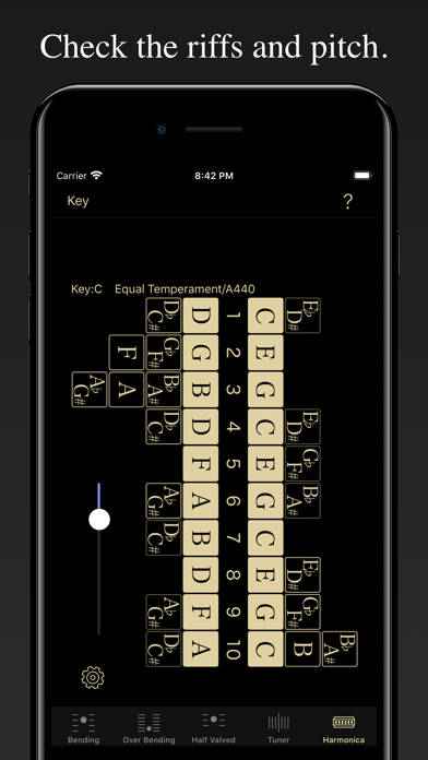 Harmonica Bending Trainer screenshot 4