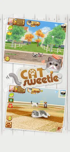 Game screenshot Cat Sweetie hack
