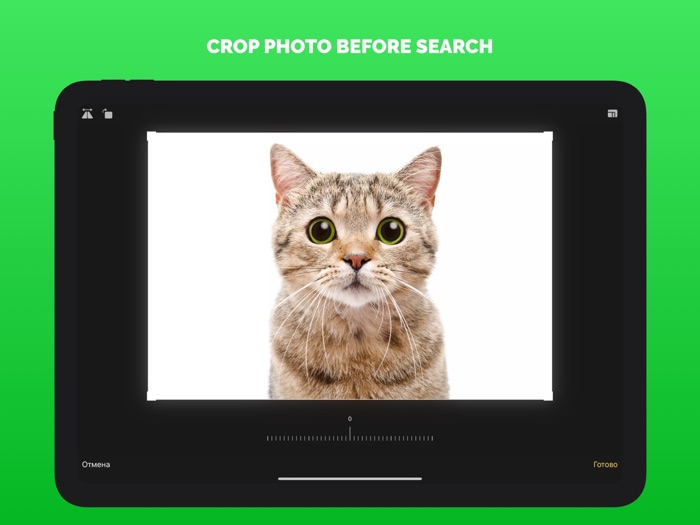 Search by photo - by image